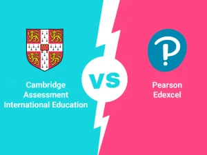 International Curriculum Options
